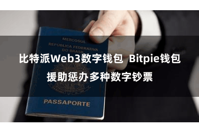 比特派Web3数字钱包 Bitpie钱包援助惩办多种数字钞票