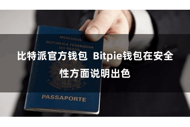 比特派官方钱包 Bitpie钱包在安全性方面说明出色