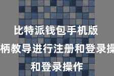 比特派钱包手机版  把柄教导进行注册和登录操作