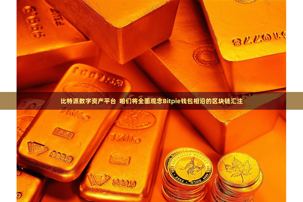 比特派数字资产平台  咱们将全面观念Bitpie钱包相沿的区块链汇注